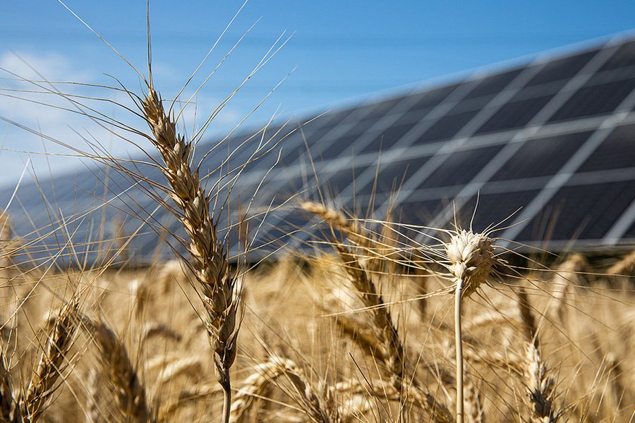Doppelnutzung am EWS Sonnenfeld ergmöglicht Solarstromerzeugung, Landwirtschaft und die Steigerung der Biodiversität